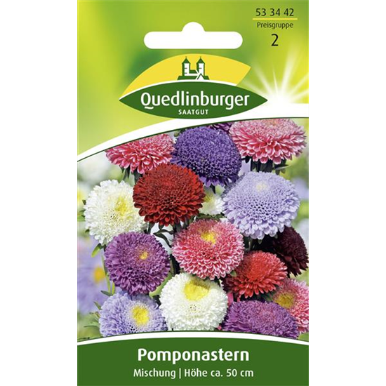 Gartenastersamen 'Pompon'