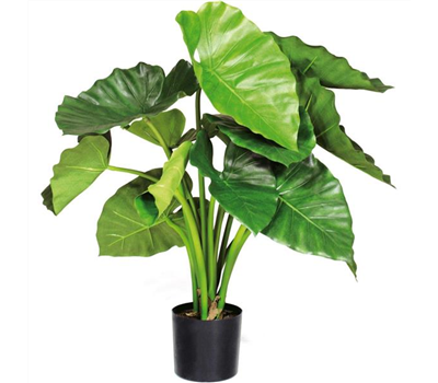 fleur ami ALOCASIA CALIDORA Kunstpflanze