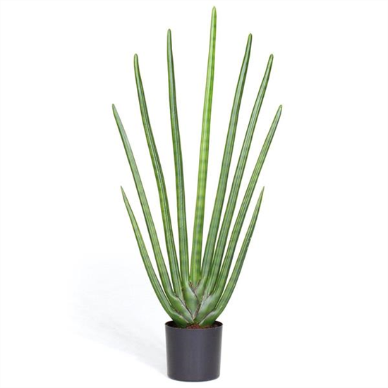 fleur ami SANSEVIERIA CYLINDRICA Kunstpflanze