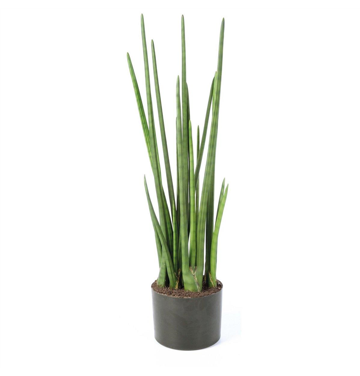 fleur ami SANSEVIERIA CYLINDRICA Kunstpflanze