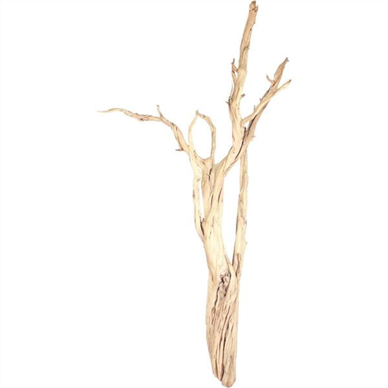 fleur ami Ghostwood