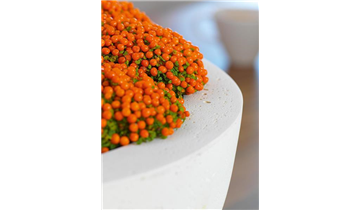Gartencenter Rehner
