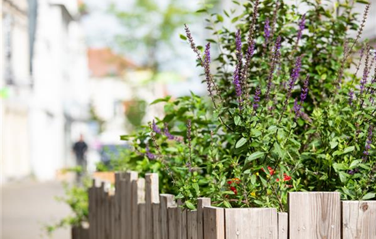 Urban Gardening – selbst in der Stadt ist Platz zum Gärtnern