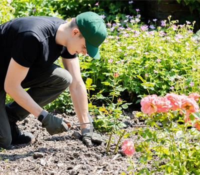 Die Grundausstattung fürs Gärtnern für Garten-Neulinge