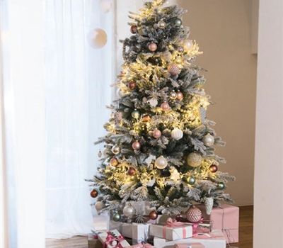 Oh Tannenbaum: Finde den Richtigen