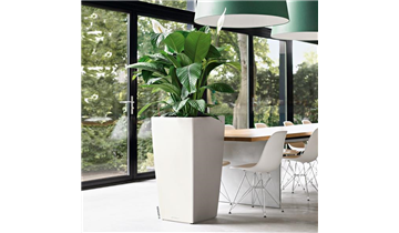 Gartencenter Rehner
