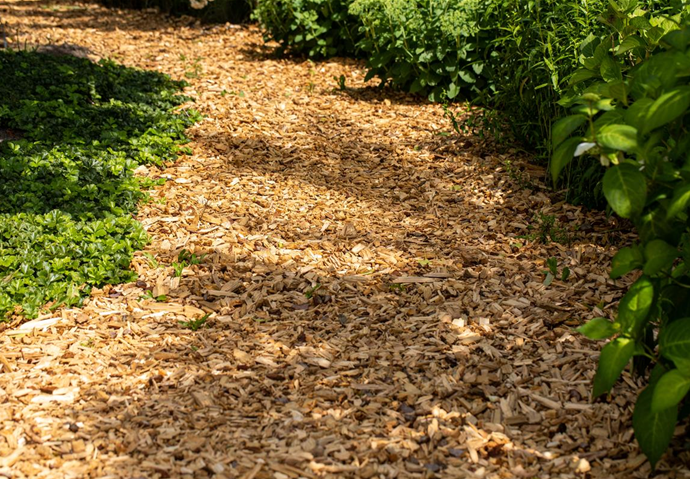 Weg aus Rindenmulch