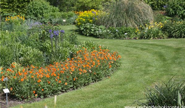 Zum Vergrößern klicken Bildvorschau