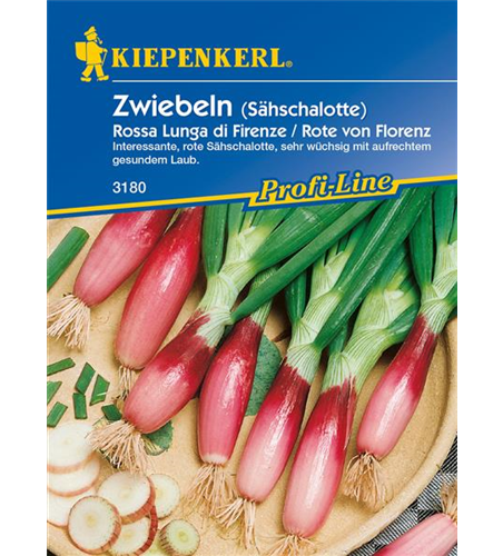 Frühlingszwiebel 'Rossa lunga di Firenze'