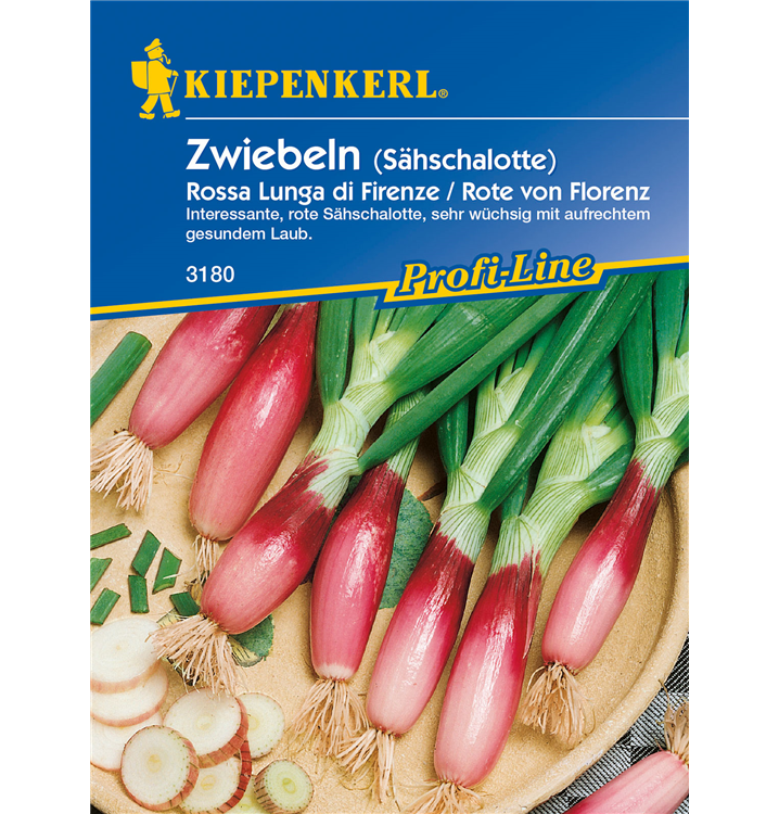 Allium cepa 'Rossa lunga di Firenze'