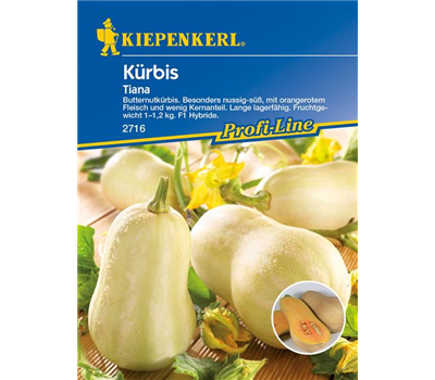 Kürbis 'Tiana'