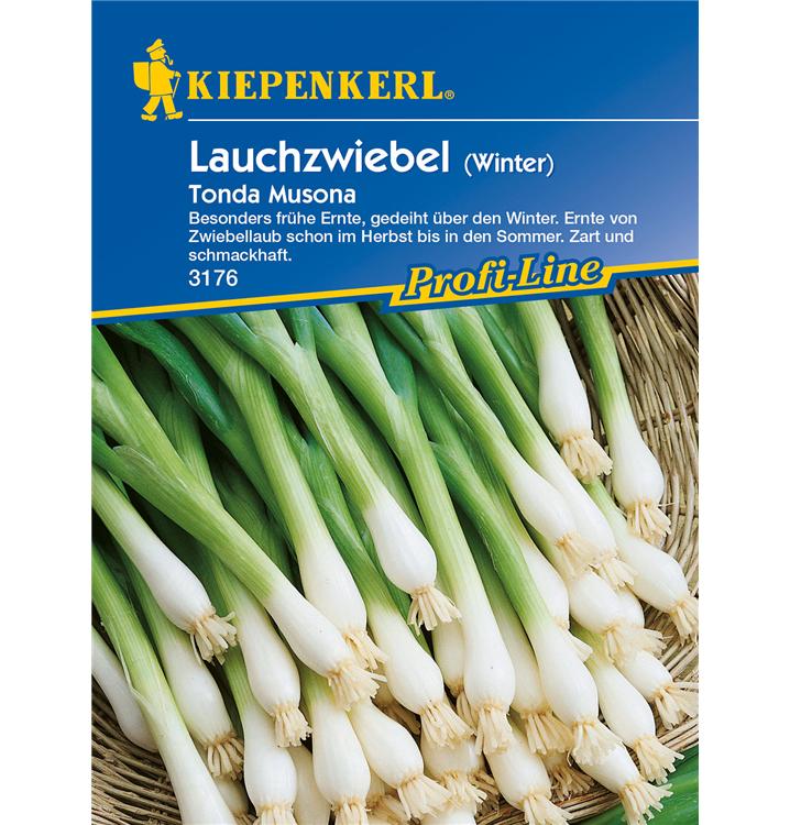 Allium cepa 'Tonda Musona'