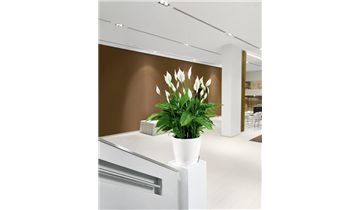 Gartencenter Rehner