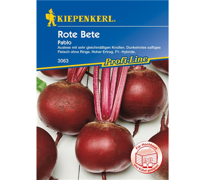 Rote Rübe 'Pablo'