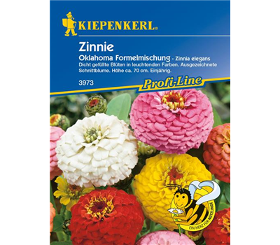 Garten-Zinnie 'Oklahoma-Formelmix'