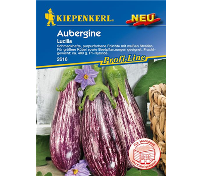 Aubergine 'Lucilla'