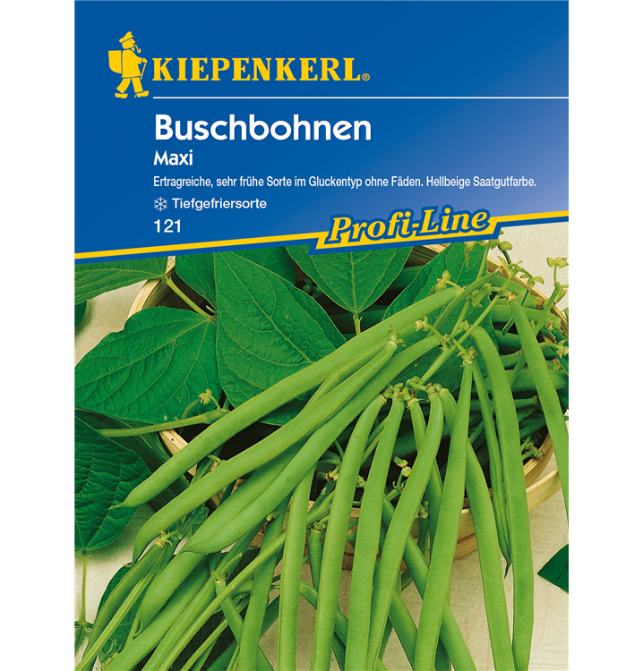 Phaseolus vulgaris var. nanus 'Maxi'