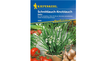 Bildvorschau
