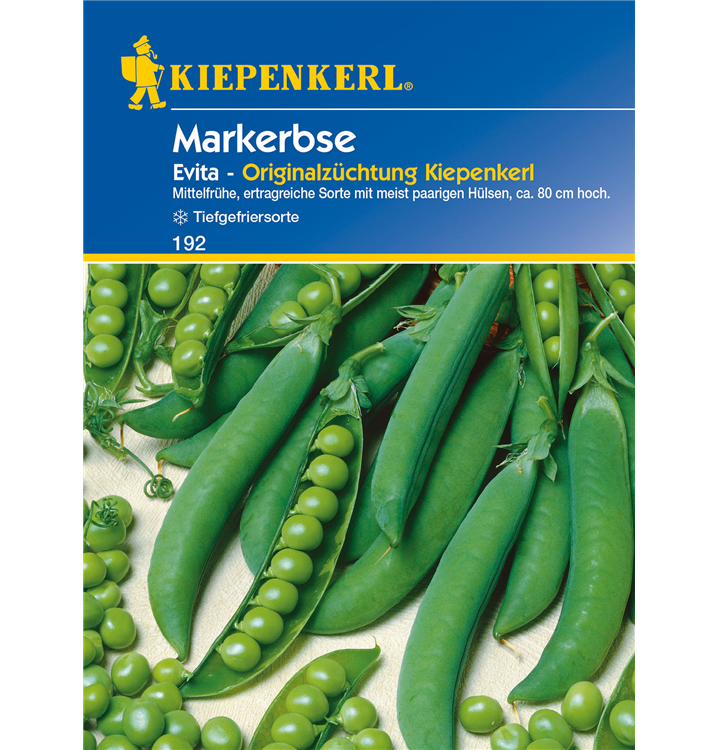 Pisum sativum 'Evita'