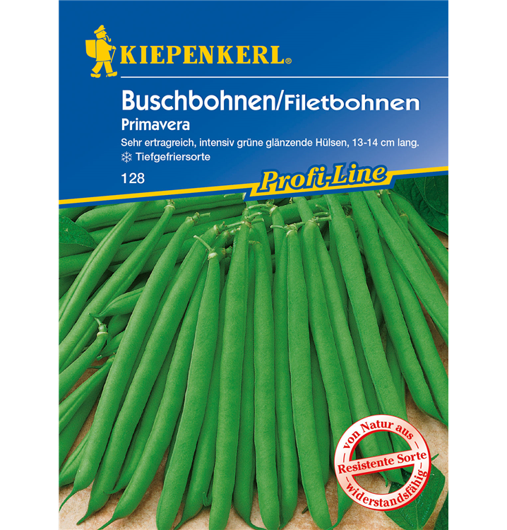 Phaseolus vulgaris var. nanus 'Primavera'