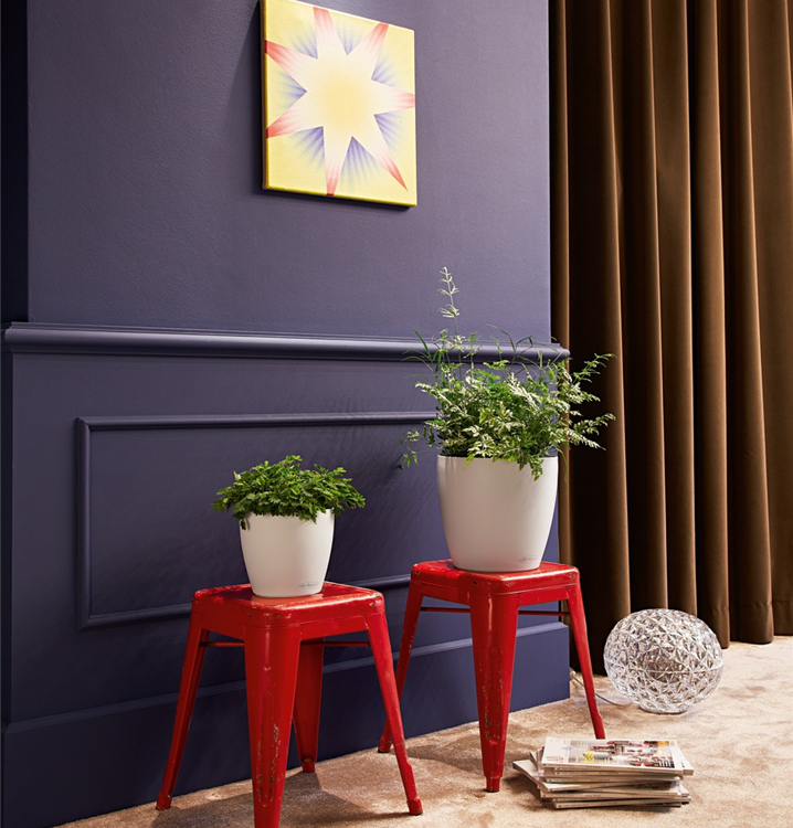 Komplettset mit Bewässerungssystem