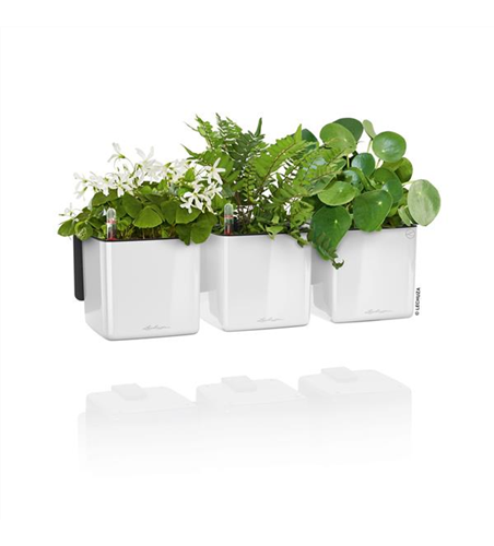 LECHUZA Green Wall Home Kit Glossy 