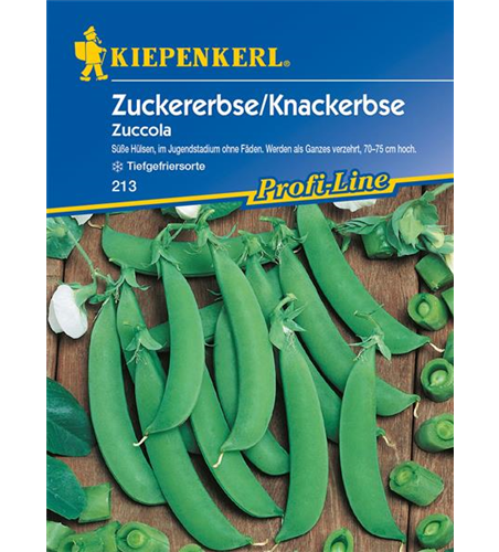 Zuckererbse 'Zuccola'
