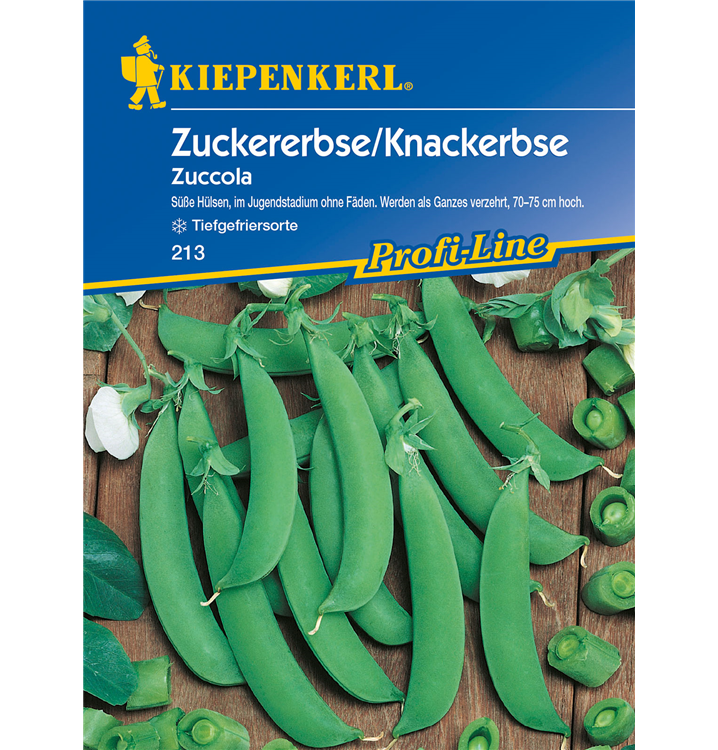 Pisum sativum 'Zuccola'