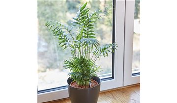 Gartencenter Rehner