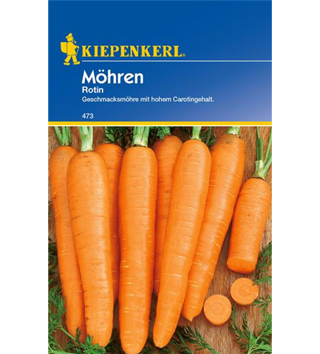 Möhre 'Rotin'