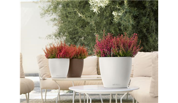 Gartencenter Rehner