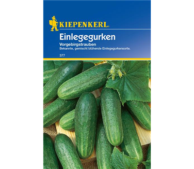 Einlege-Gurke 'Vorgebirgstrauben'