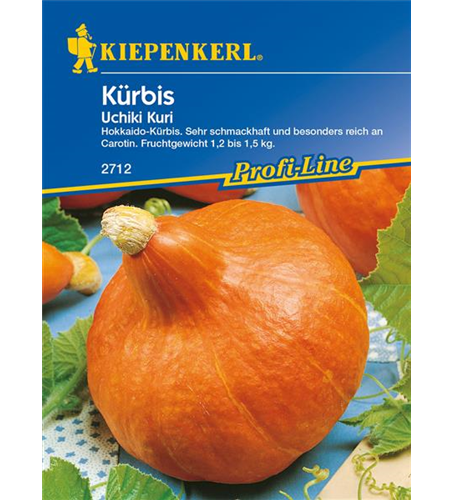 Kürbis 'Uchiki Kuri'