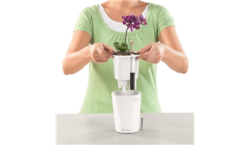 Gartencenter Rehner