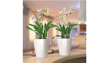 Gartencenter Rehner