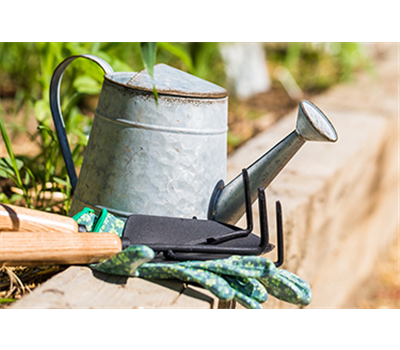 Allgemeine Gartenarbeit im August