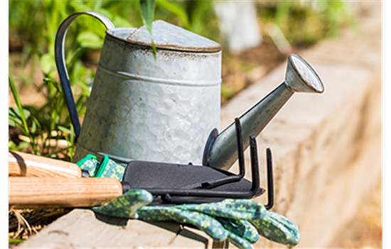 Allgemeine Gartenarbeit im August