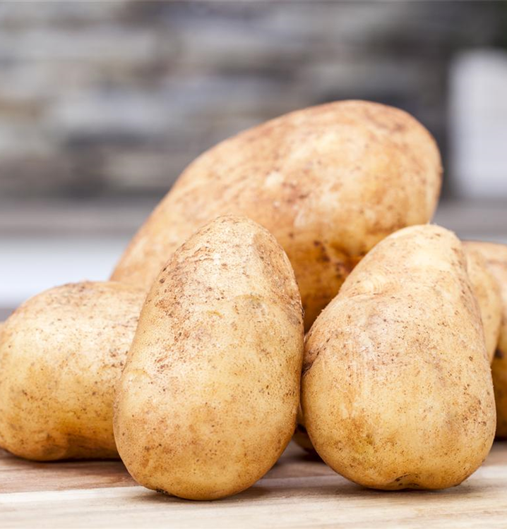 Solanum tuberosum 'Adessa'®