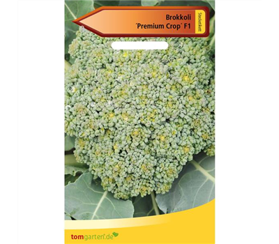 Broccoli 'Premium Crop F1'