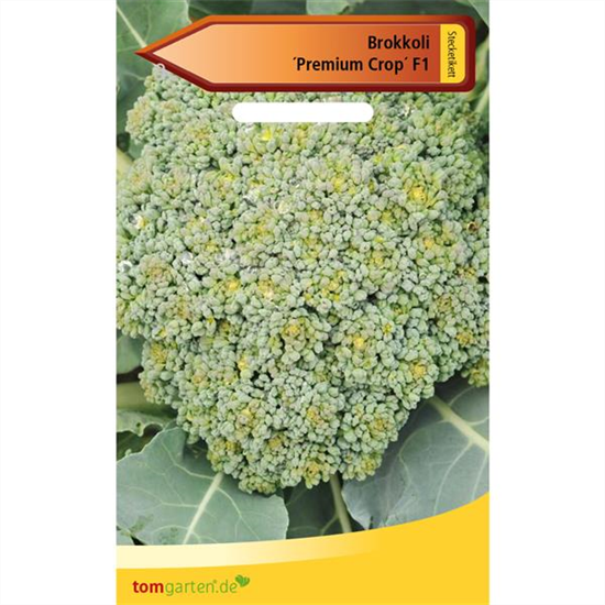 Broccoli 'Premium Crop F1'