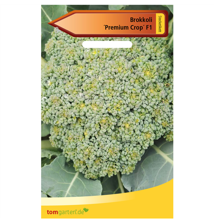 Brassica oleracea var. italica 'Premium Crop F1'