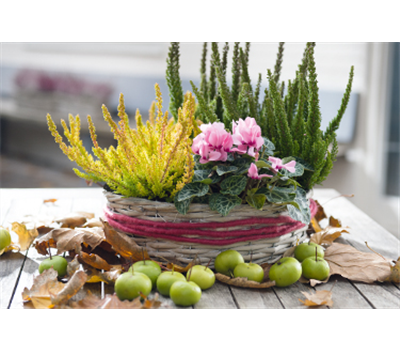 Terrasse & Balkon im November