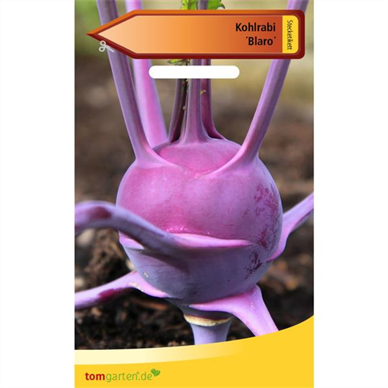 Kohlrabi 'Blaro'