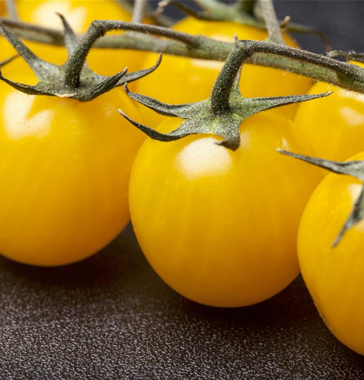 Solanum lycopersicum var. cerasiforme 'Yellow Clementine'