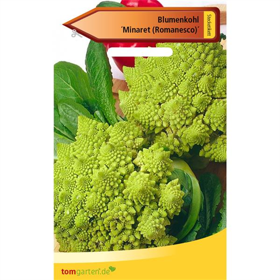 Romanesco-Blumenkohl 'Minaret'