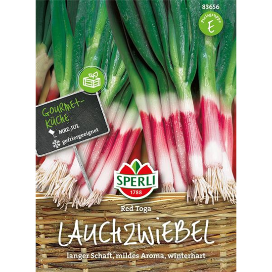 Lauchzwiebel 'Red Toga'