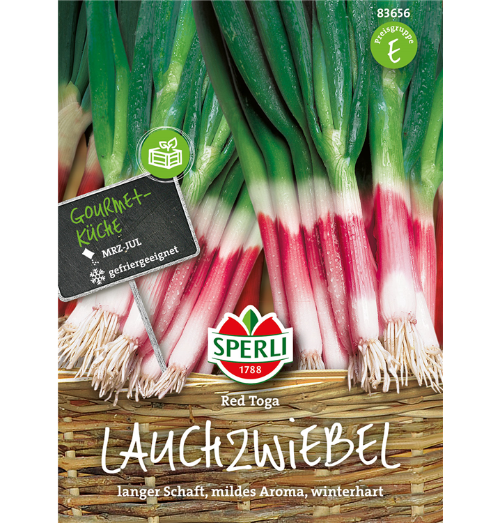 Allium fistulosum 'Red Toga'