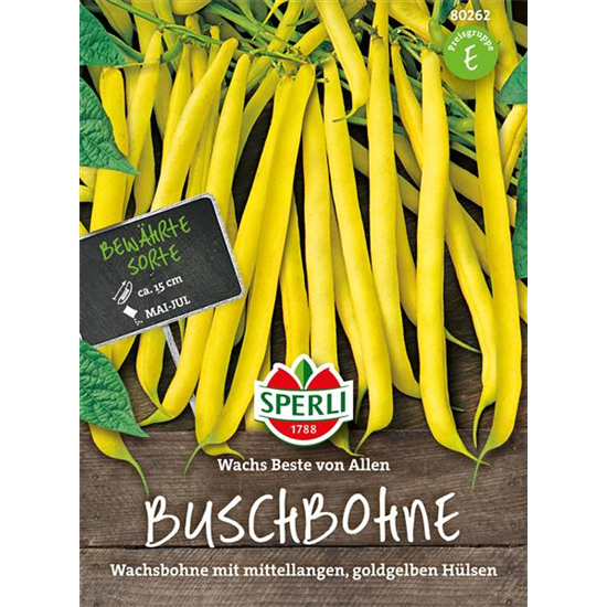 Buschbohne 'Wachs Beste von Allen' Buschbohne 'Wachs Beste von Allen'