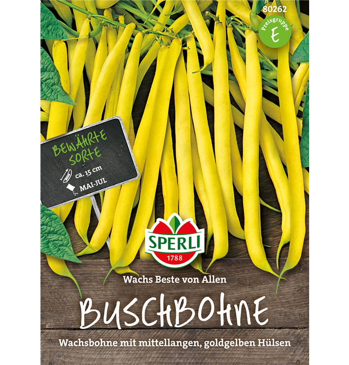 Phaseolus vulgaris var. nanus 'Wachs Beste von Allen'