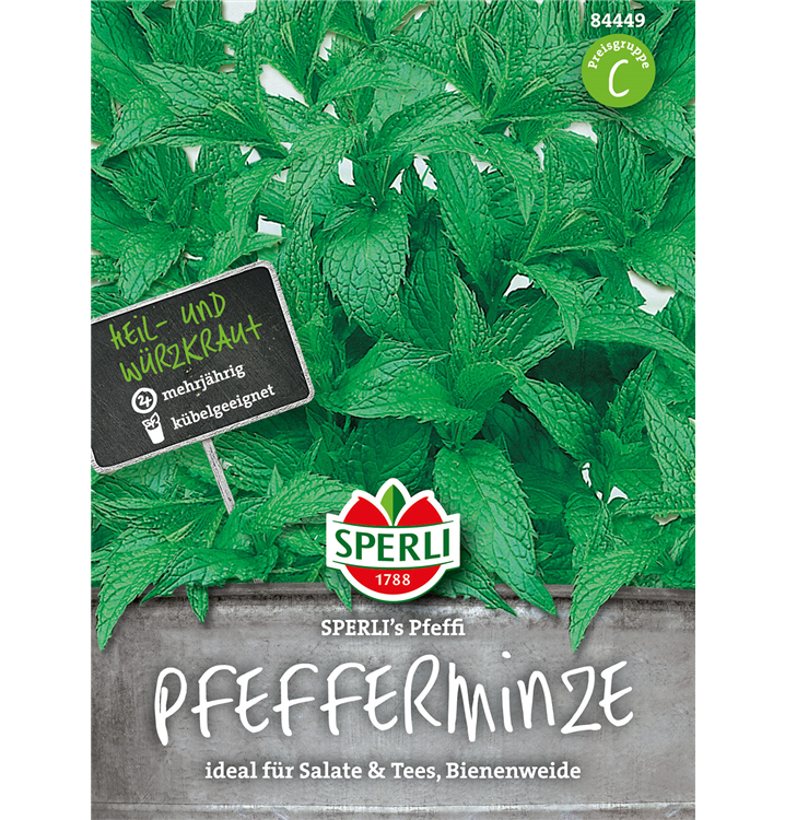 Mentha x piperita 'Pfeffi'